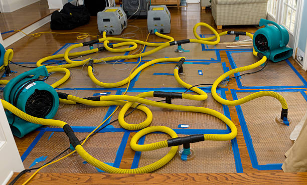 Professional Structural Drying And Dehumidification technician working in Gervais, OR